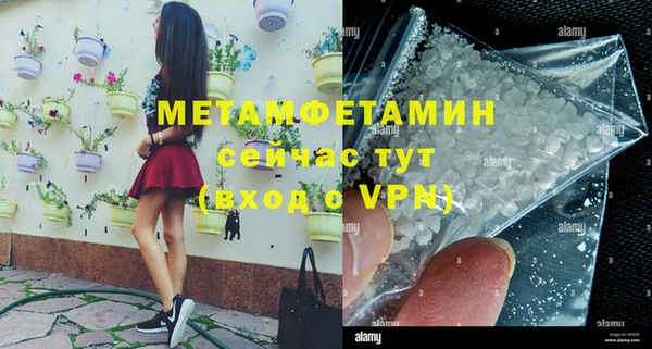 стаф Ельня