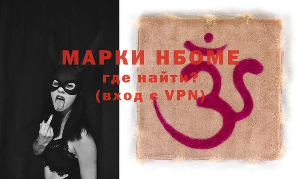 стаф Ельня