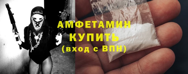 мдпв Елабуга