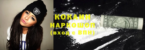 мдпв Елабуга