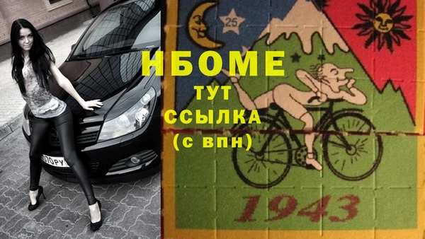 мдпв Елабуга