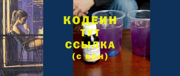 стаф Ельня