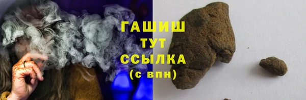 мдпв Елабуга