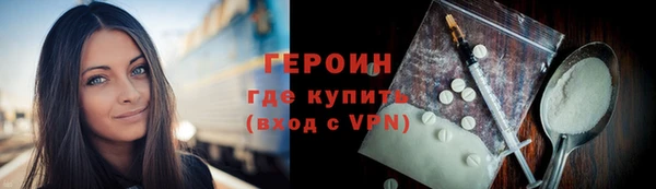 стаф Ельня