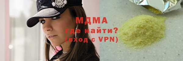 мдпв Елабуга