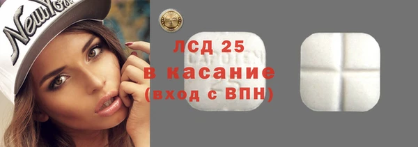 мдпв Елабуга