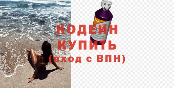 стаф Ельня