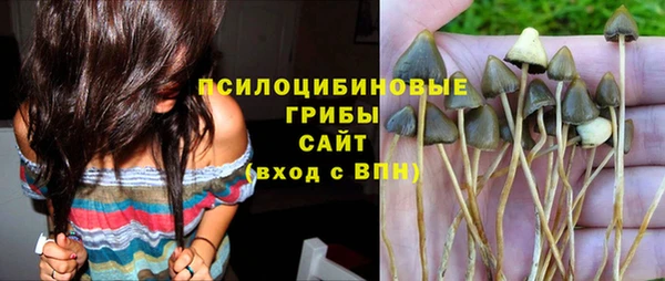 мдпв Елабуга