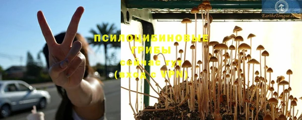 мяу мяу кристалл Тында