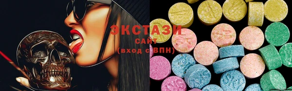 стаф Ельня